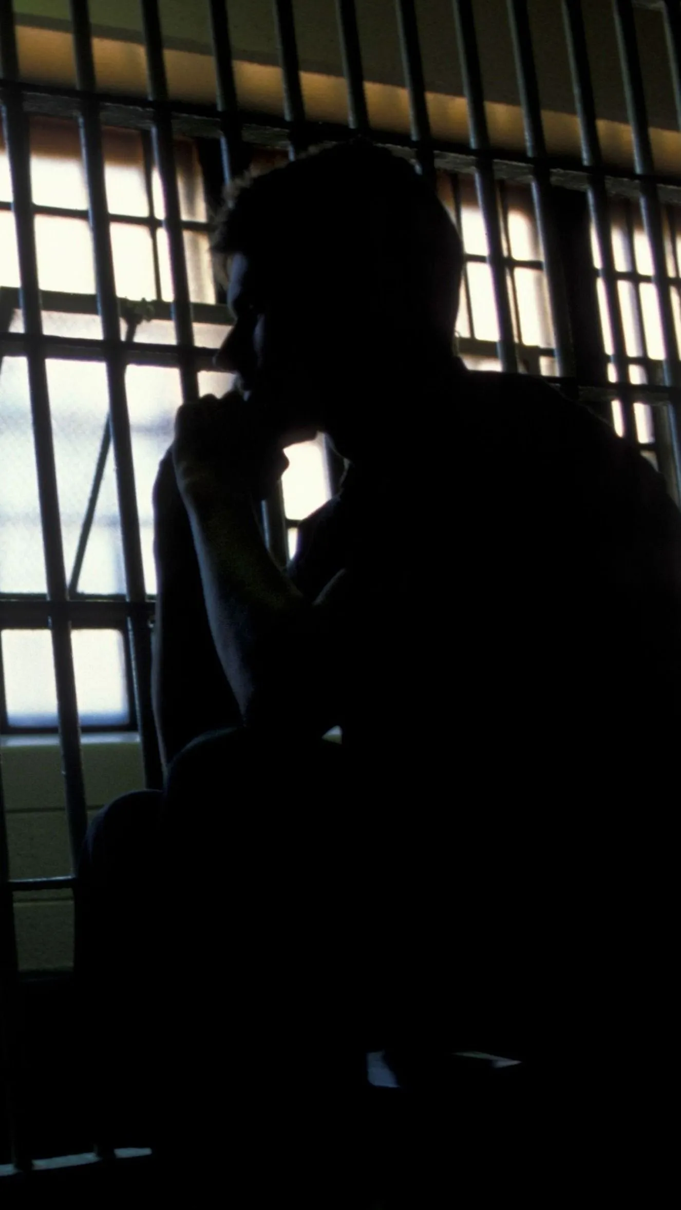 Anikó az egyetlen nő itthon, aki tényleges életfogytiglannal ül börtönben