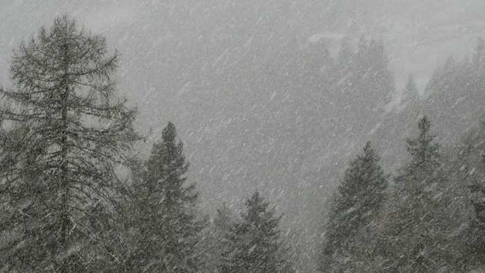 Élve temette el egy hűtő: tíz év után került elő a férfi