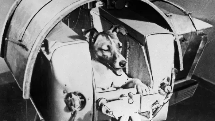 Ezek a legendás állatok formálták a történelmet