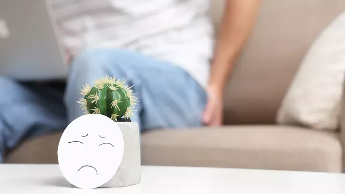 Íme minden az aranyérről, amit sosem mertél megkérdezni