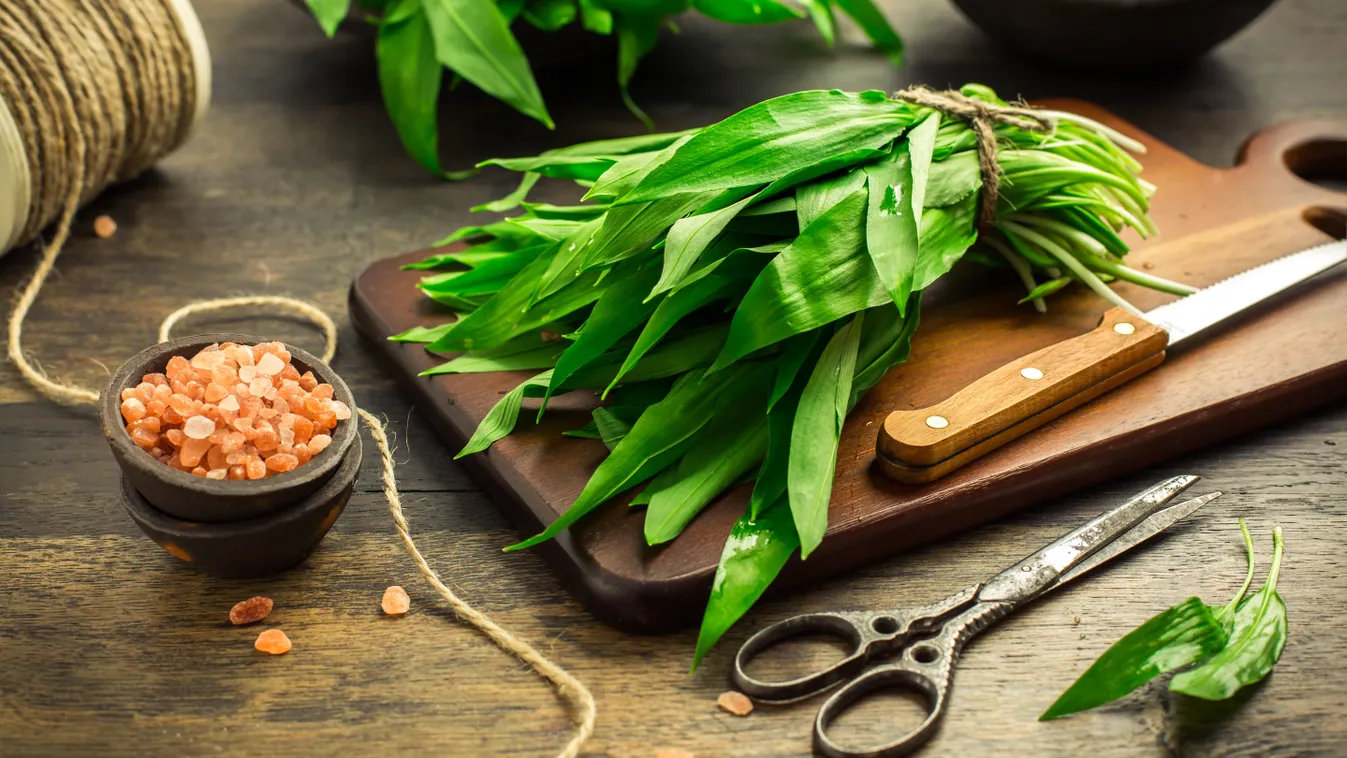 Végzetes lehet a tévedés: így különböztesd meg a medvehagymát a gyöngyvirágtól