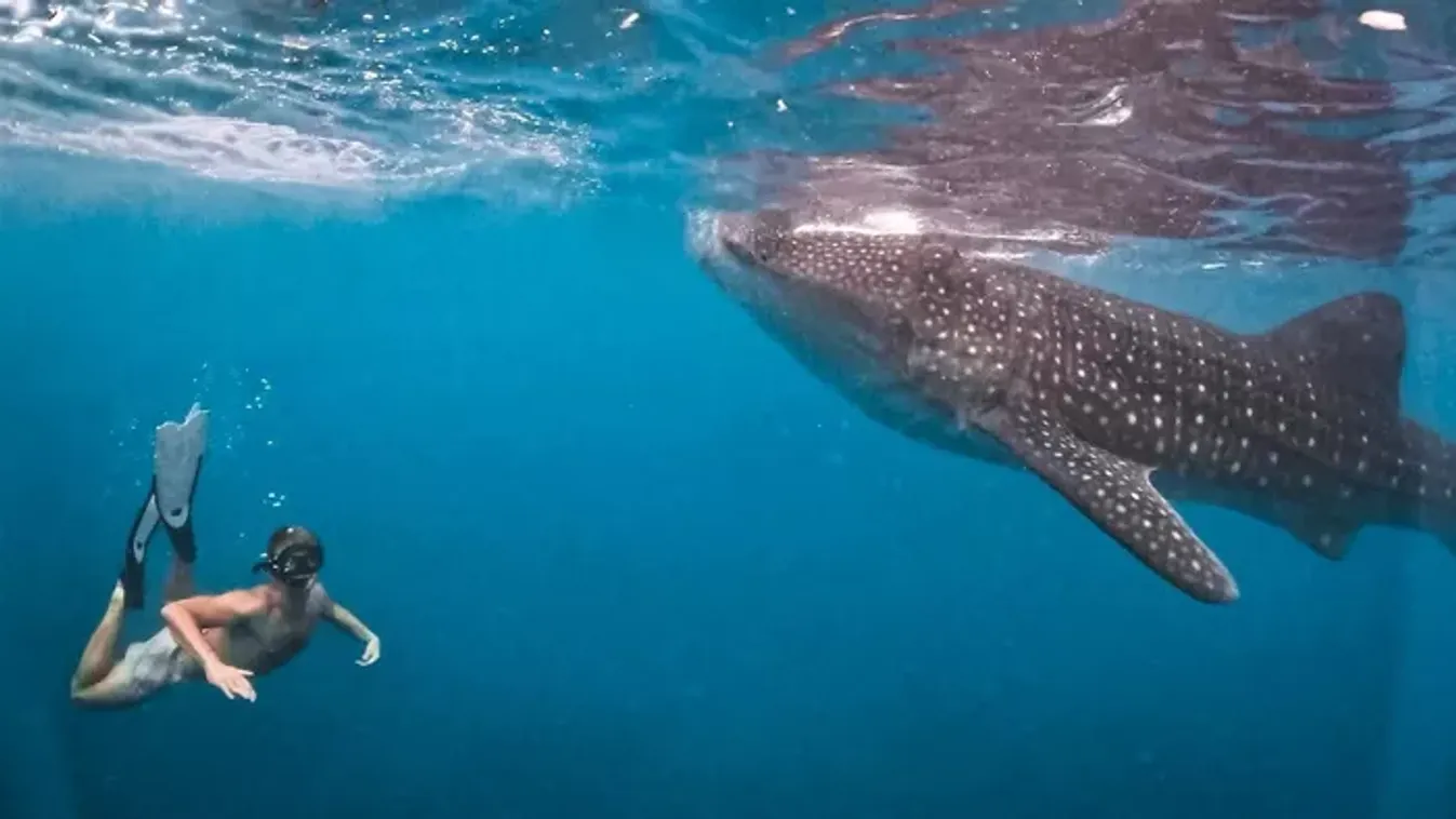 Egyirányú repülőjeggyel indultak el – Fél éve sodródnak kalandról kalandra Ázsiában Gergőék