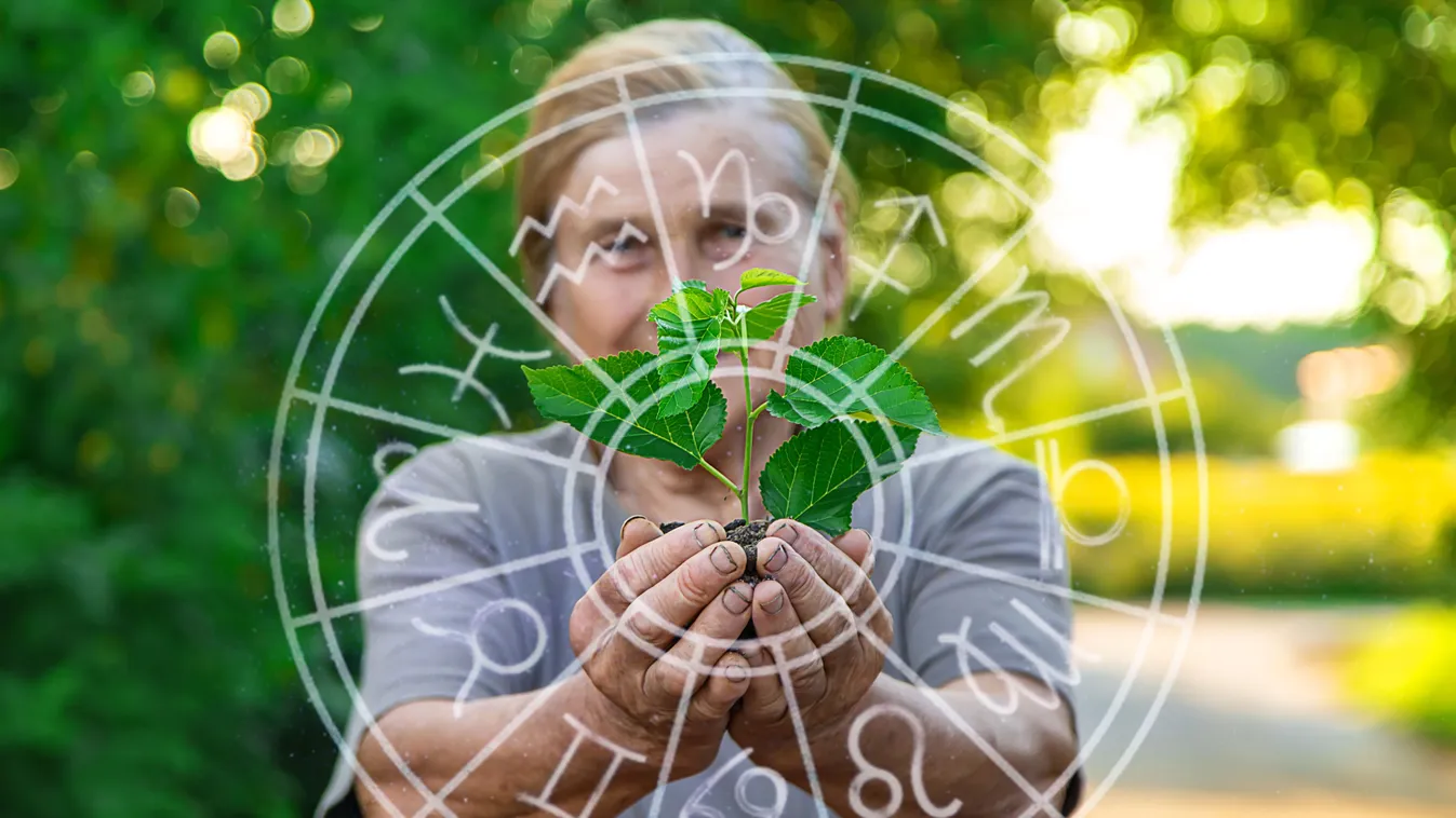 Idős nő egy ágat tart a kezében a horoszkópban használt zodiákus kör mögött.