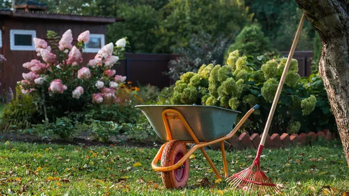 Nálad a fű se nő? Ezeket a talajtakarókat ültesd helyette
