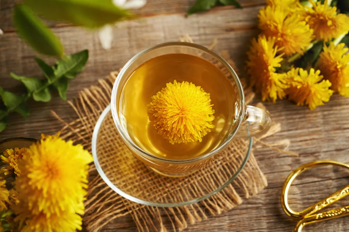 Egy csésze pitypang tea