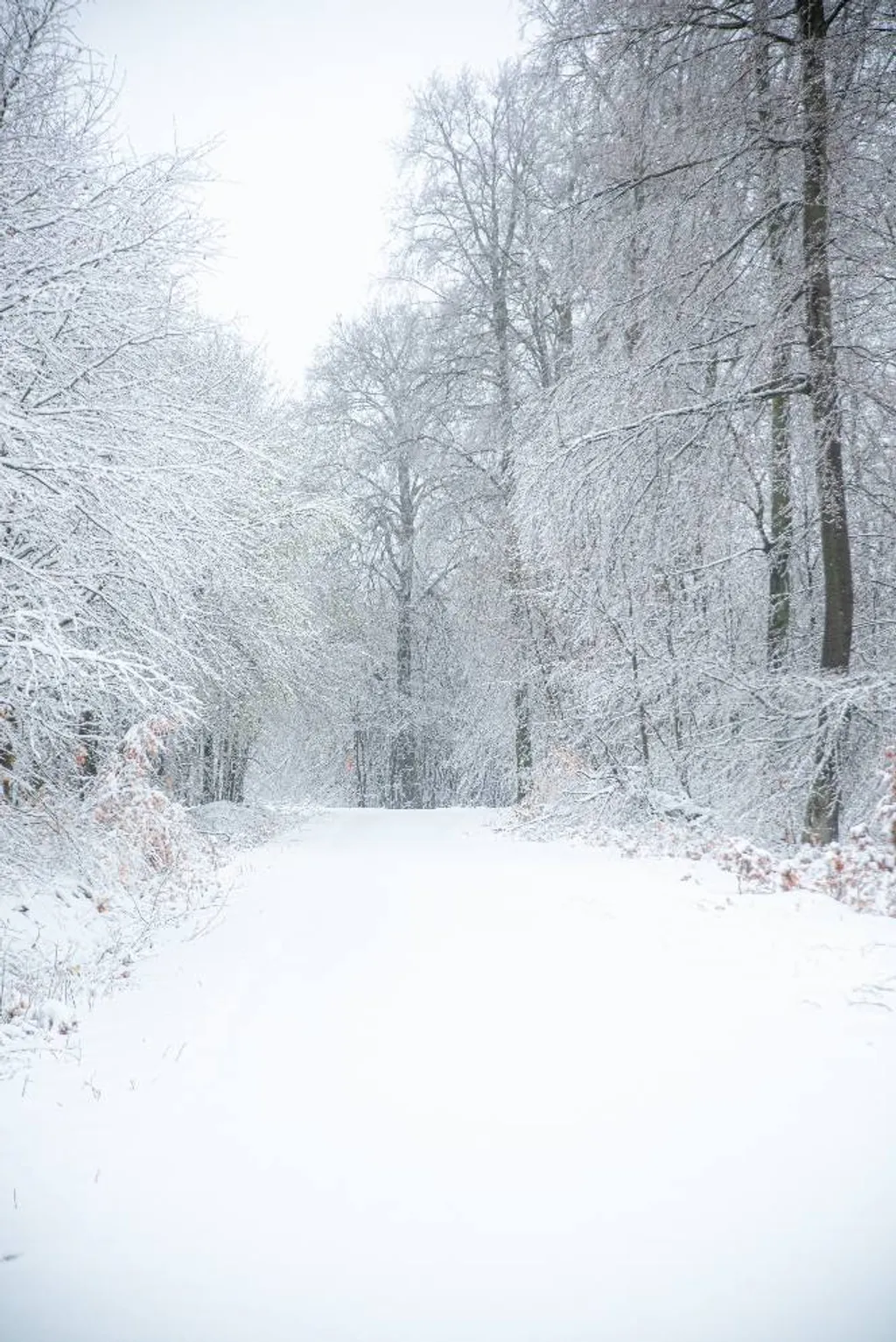 ILLUSZTRÁCIÓNAK NE HASZNÁLD!
