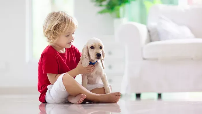 5 dolog, amit egy állat megtanít a gyereknek