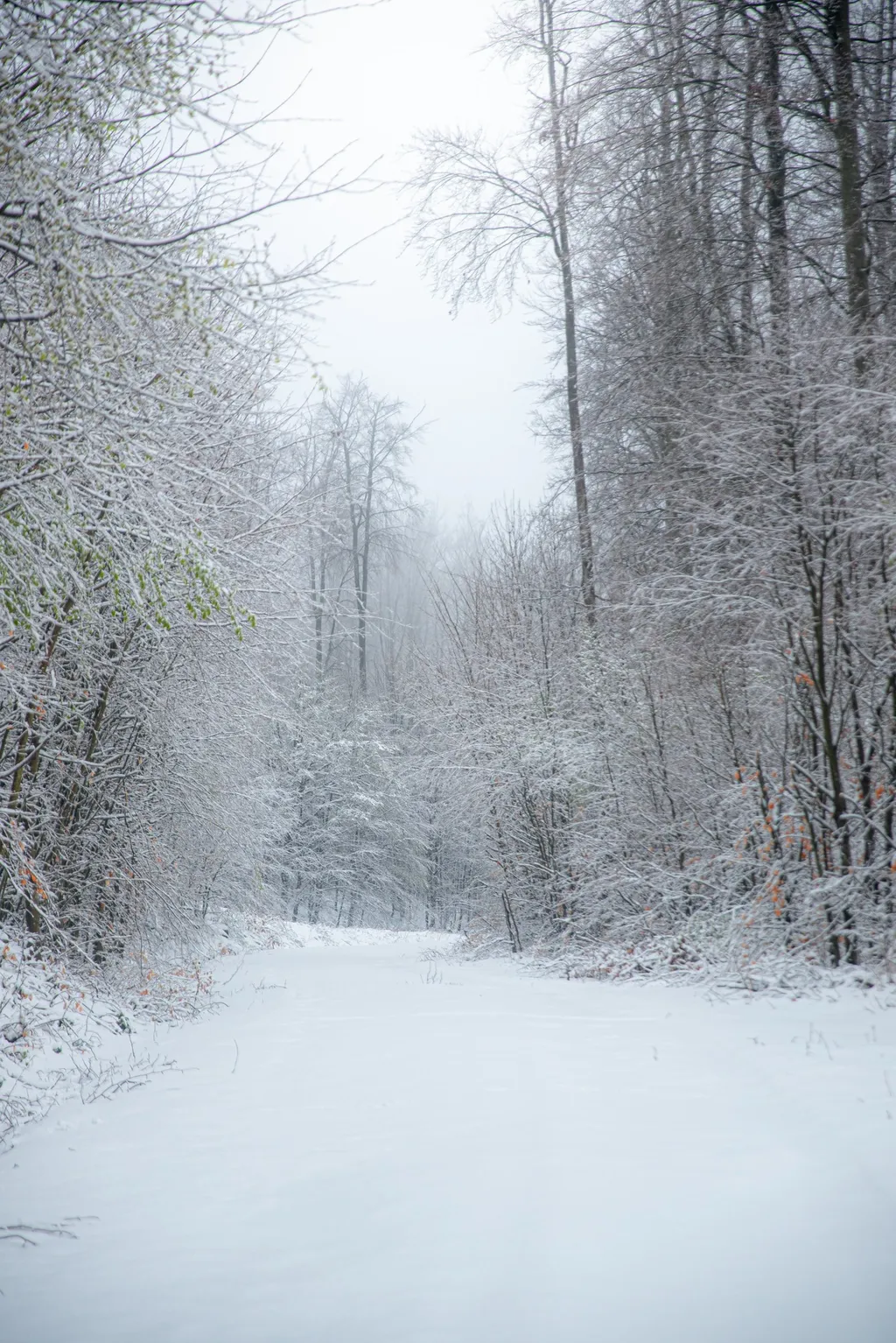 ILLUSZTRÁCIÓNAK NE HASZNÁLD!