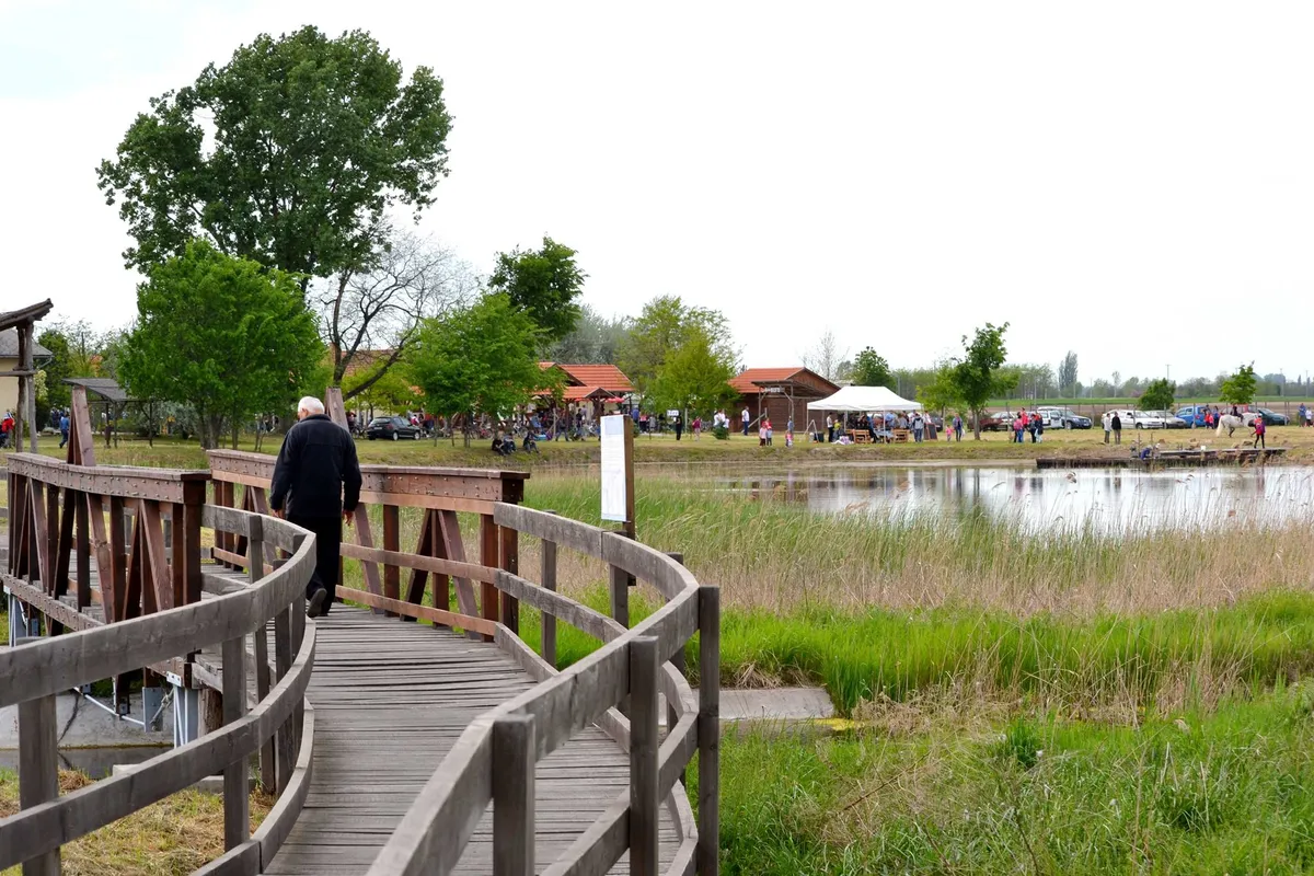 Mórahalom látnivalói közé tartozik a Nagyszéksós-tó is.