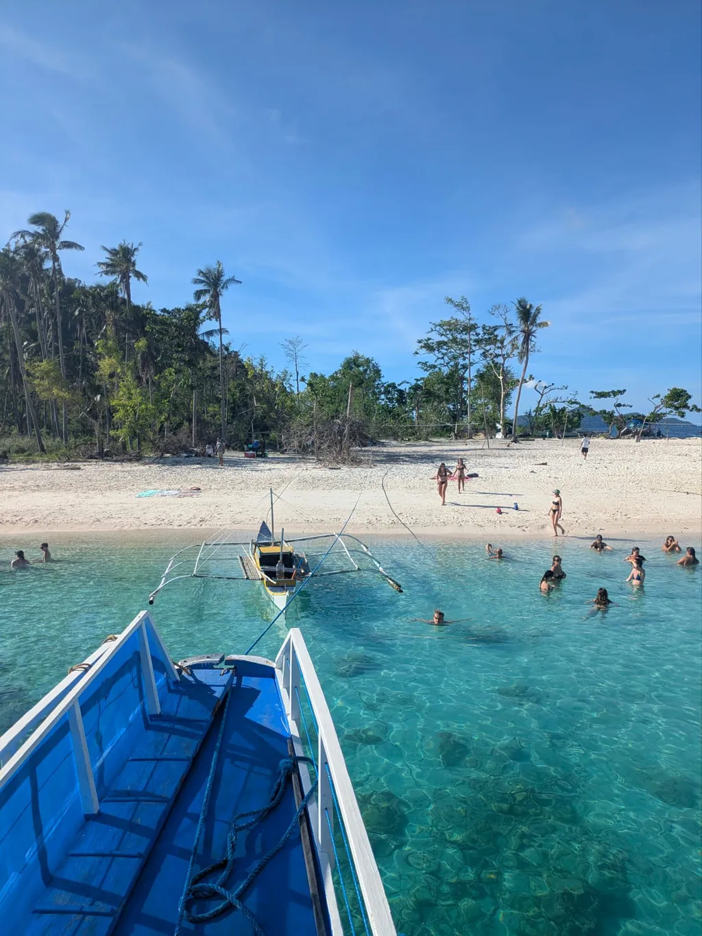 A Fülöp-szigetek palawani partvidéke a világ legszebb tengerpartjainak sorát gazdagítja, ahol nemcsak a táj, de a tenger élővilága is rendkívül gazdag. 