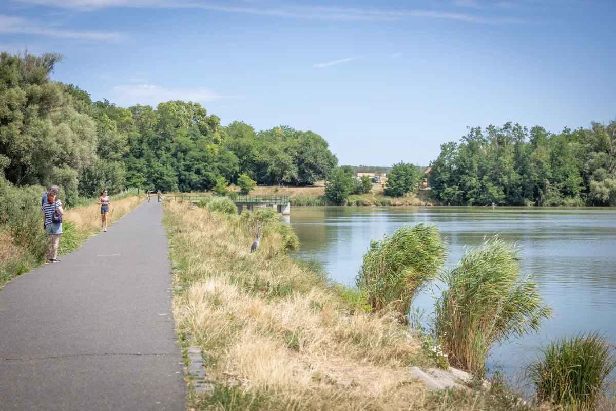 Tanösvények Budapest környékén a Naplás-tónál.