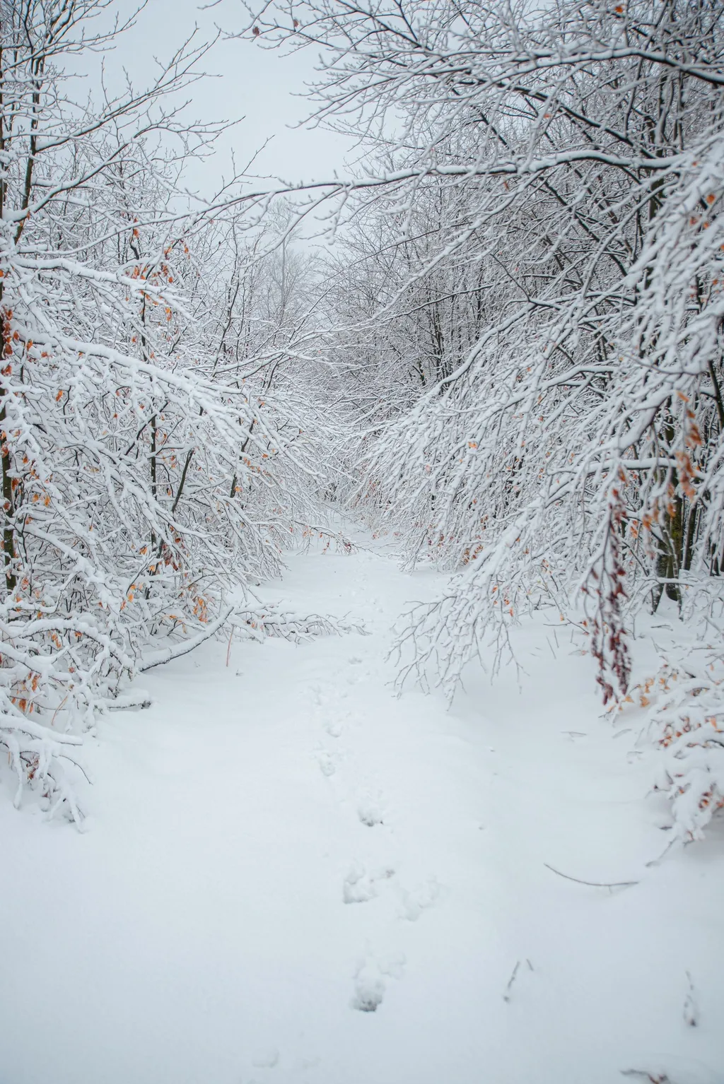 ILLUSZTRÁCIÓNAK NE HASZNÁLD!