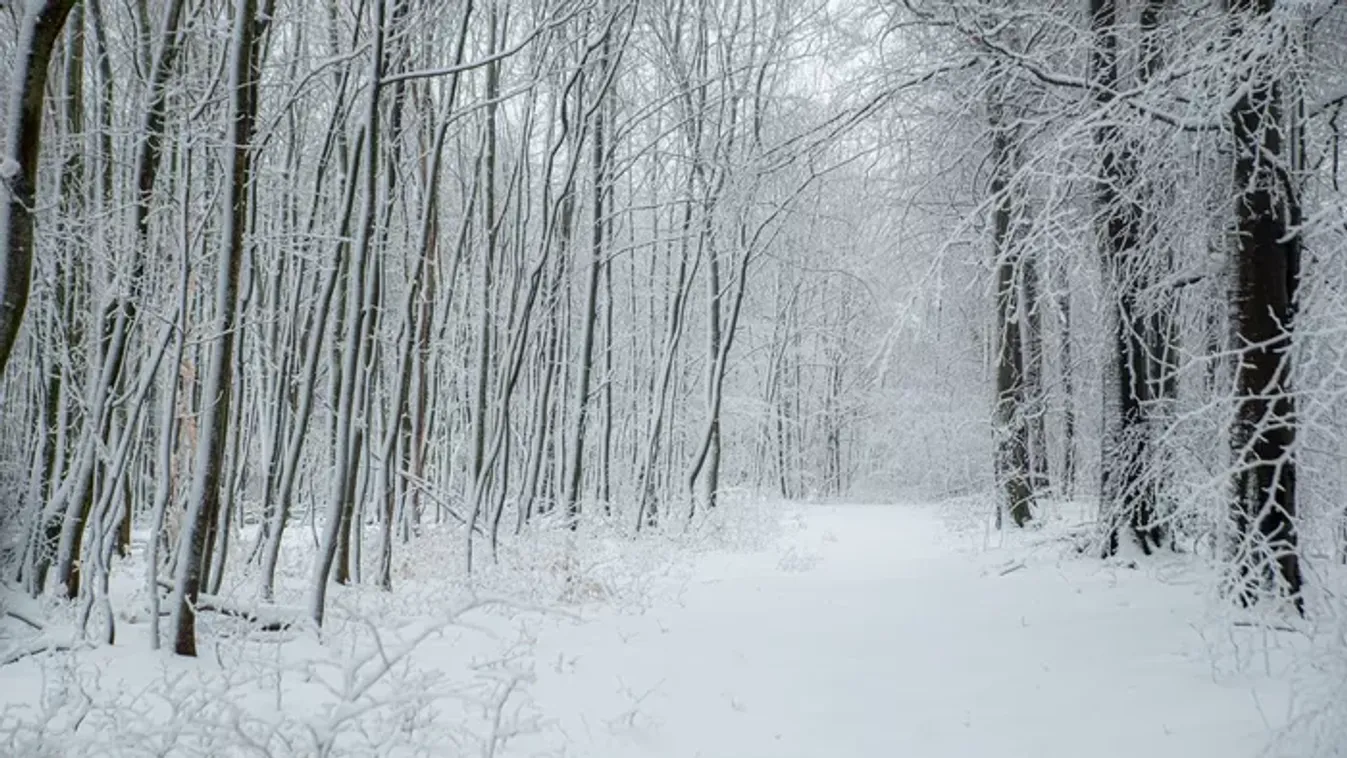 Megbolondult az időjárás: vastag hótakaró fedte be a Bakonyt