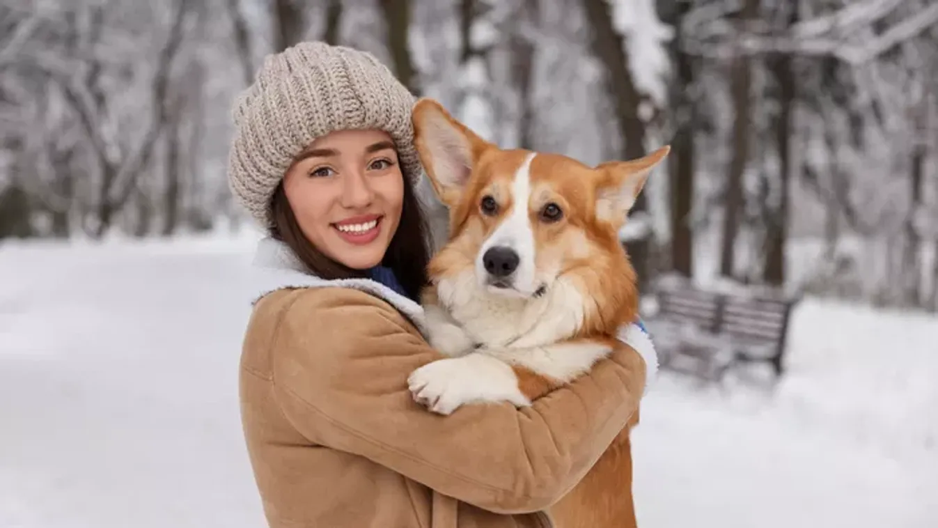 Melyik állatot fogadnád örökbe? Ez a személyiségteszt hihetetlenül pontos képet fest a lelkiállapotodról