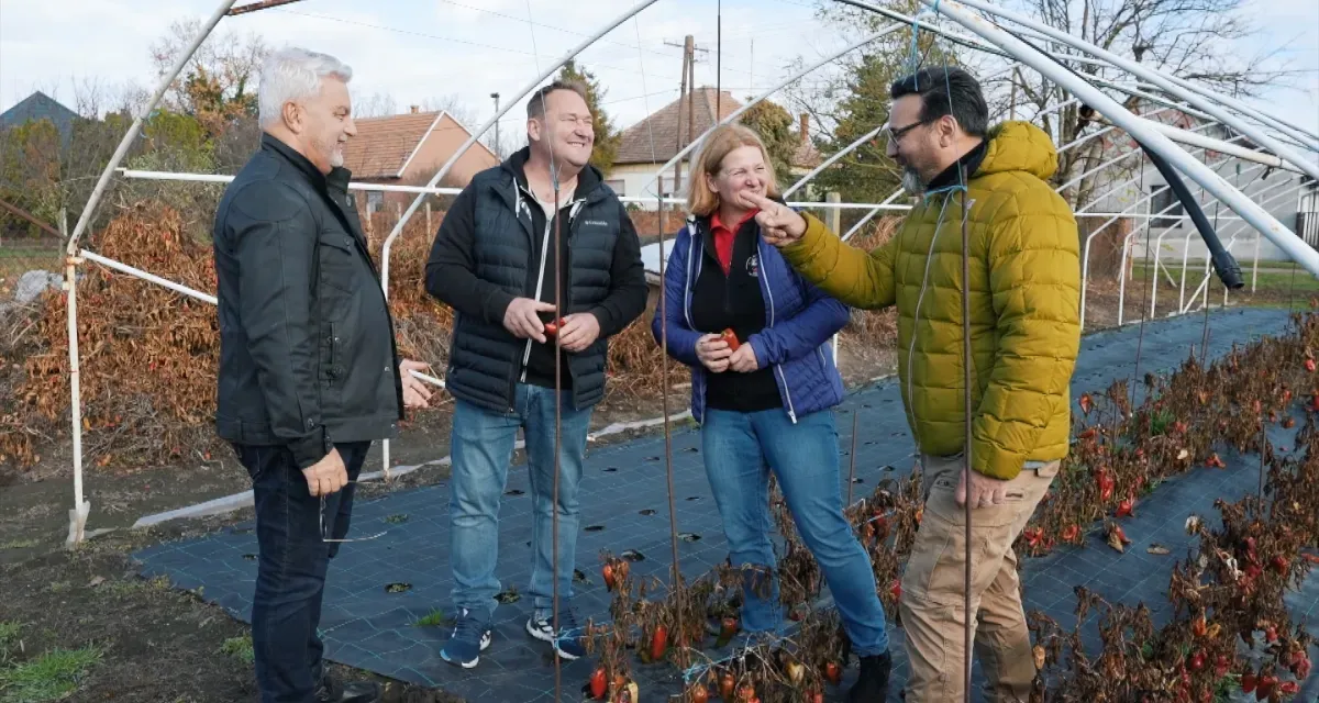 Gianni és Miki a Sárréti ChiliFarmon ásták bele magukat a kézműves chiliszószok világába