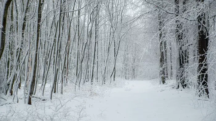 Megbolondult az időjárás: vastag hótakaró fedte be a Bakonyt