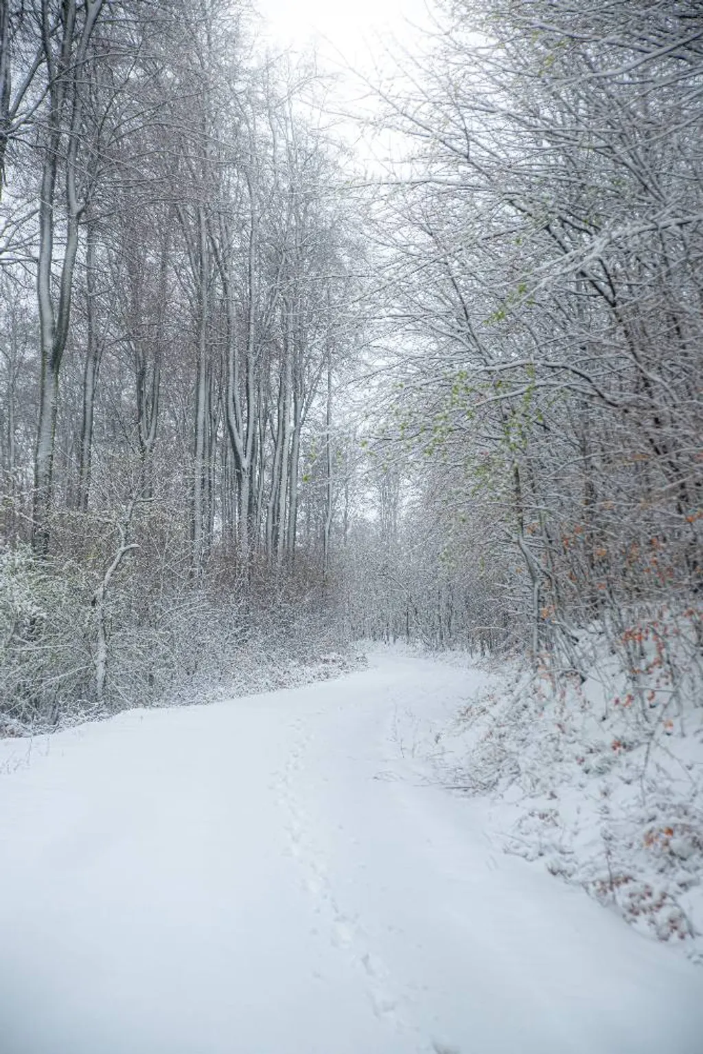 ILLUSZTRÁCIÓNAK NE HASZNÁLD!