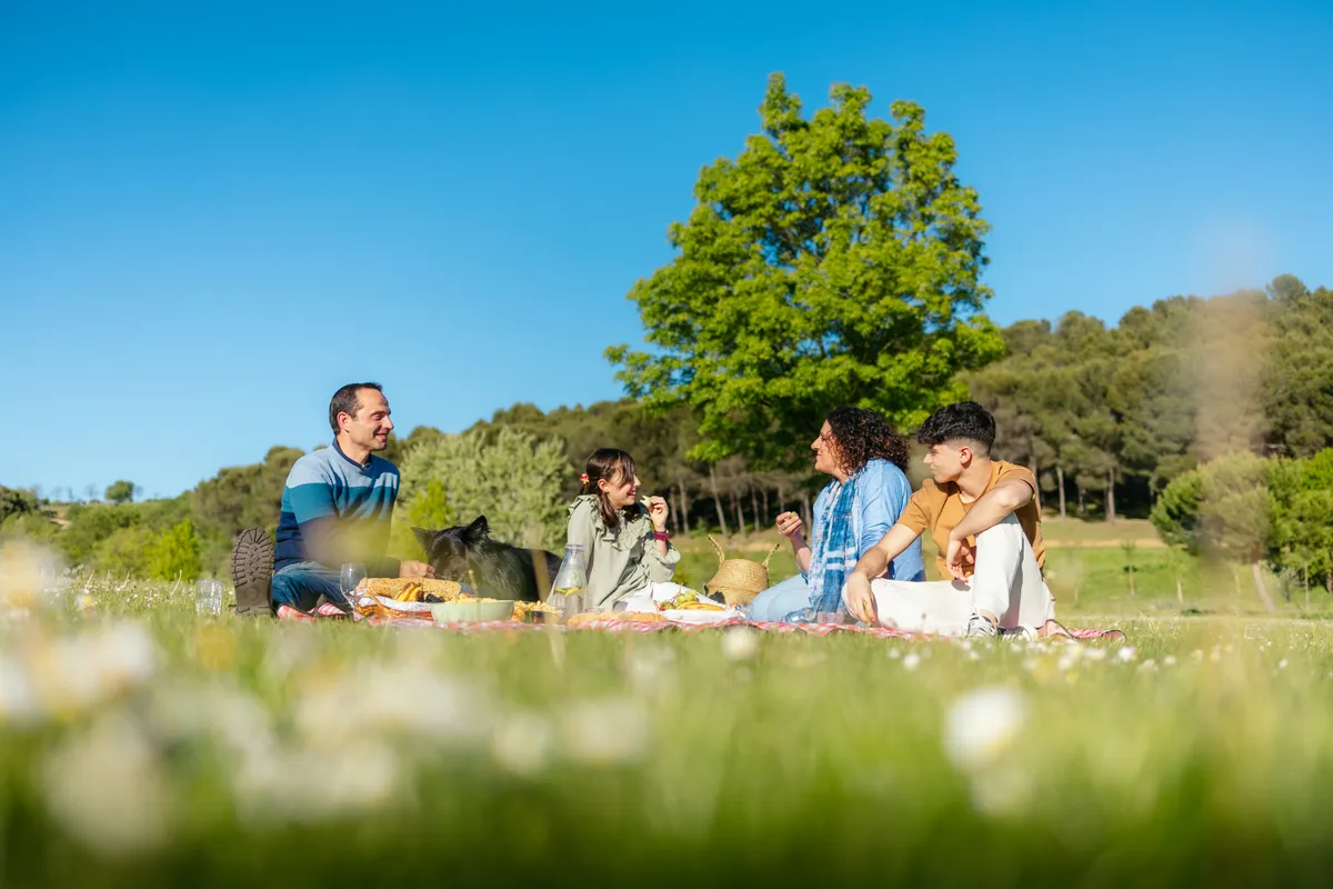 Piknikezőhely, ahol az egész család jól érzi magát
