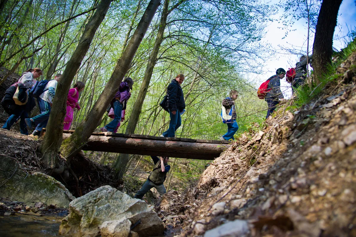 Tanösvények Budapest környékén, Vácon.