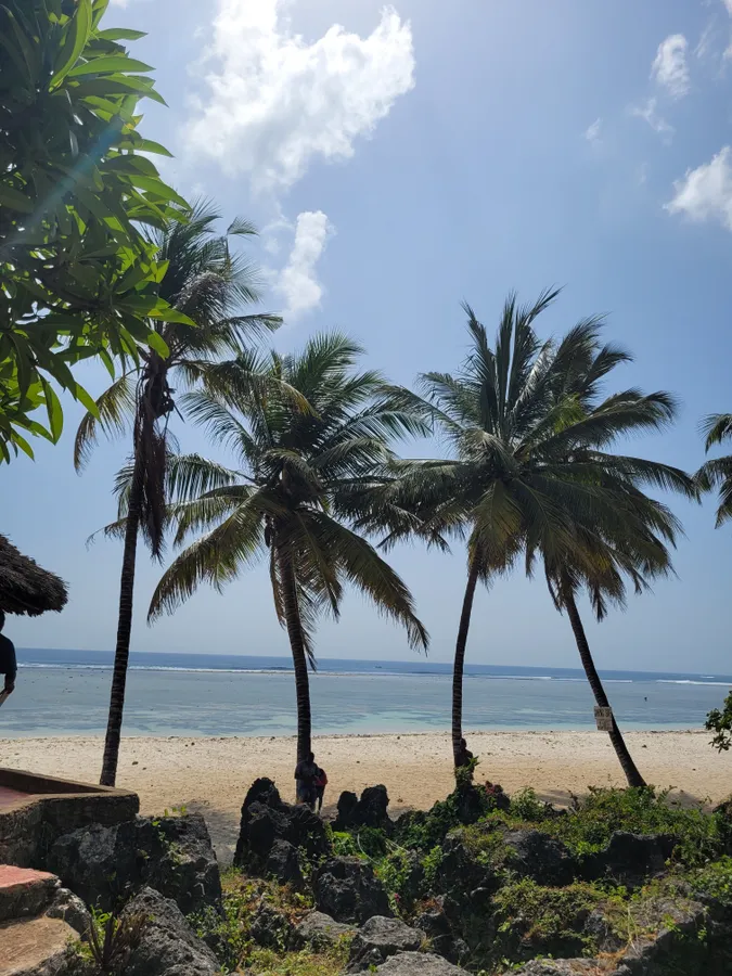 Kenyai tengerpart pálmafákkal.