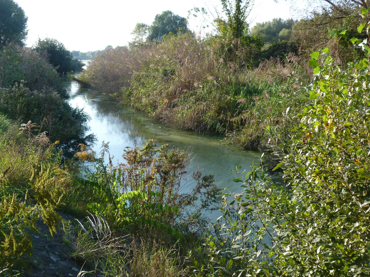 A Szilas-patak a Naplás-tónál.