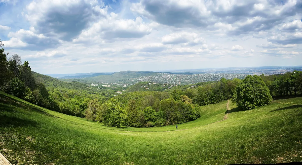 Zöldellő kilátás a Normafáról.