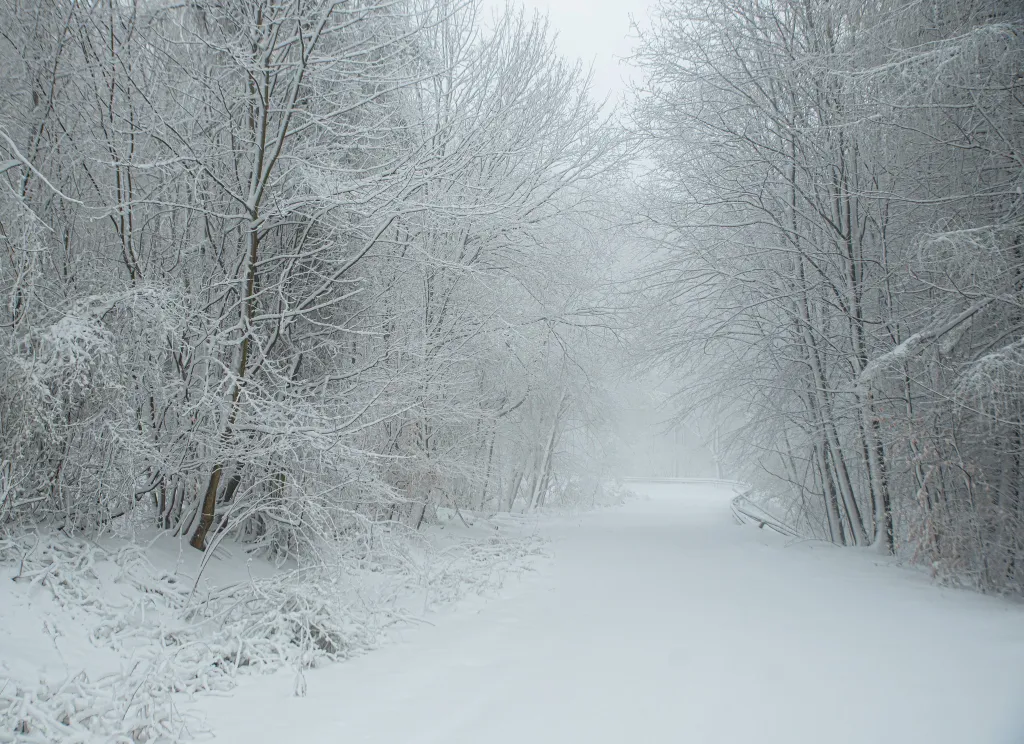 ILLUSZTRÁCIÓNAK NE HASZNÁLD!
