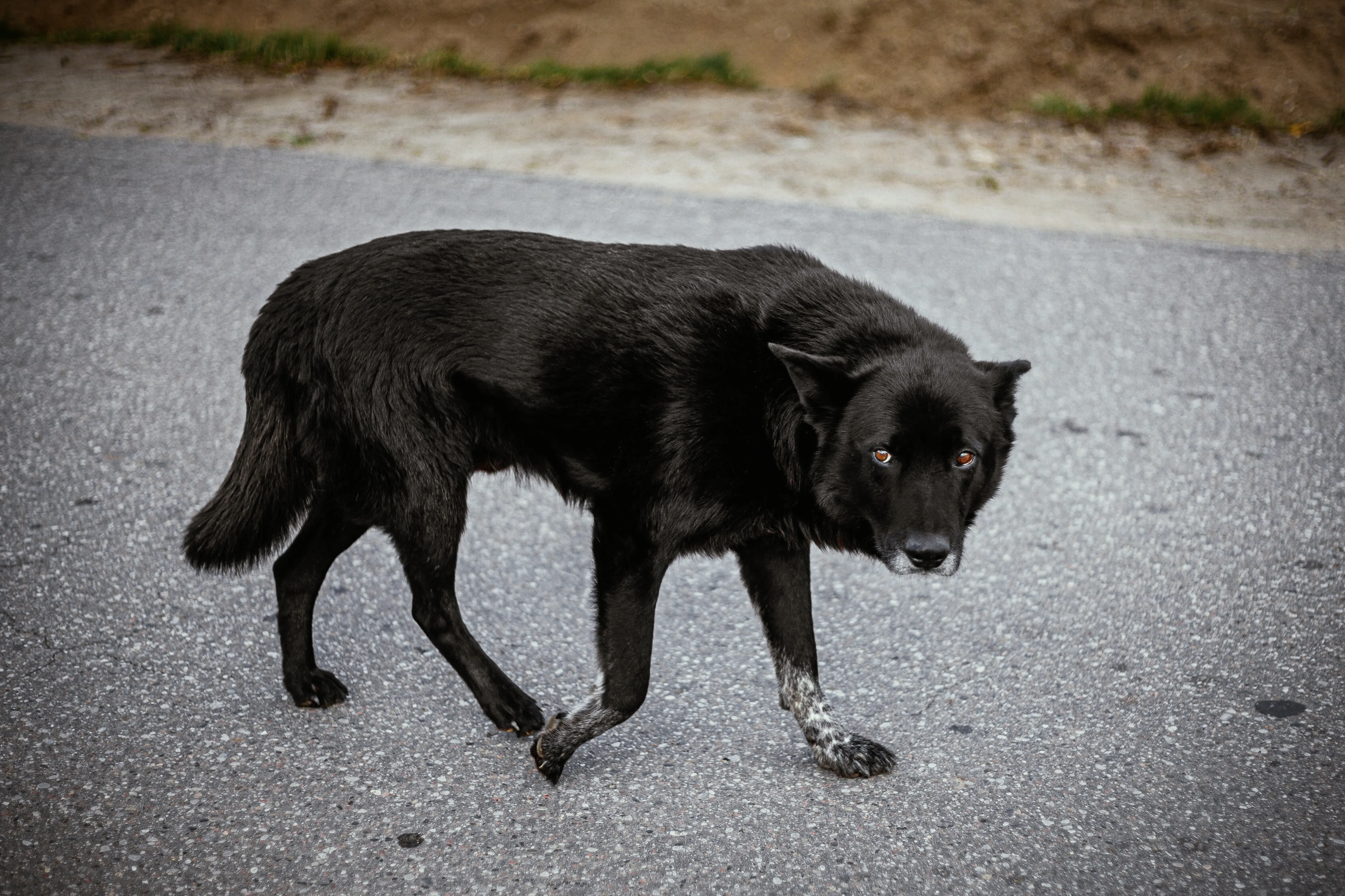 Kvíz kérdést ábrázoló kép