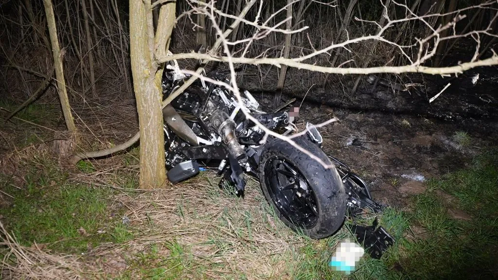 motoros, őz, baleset