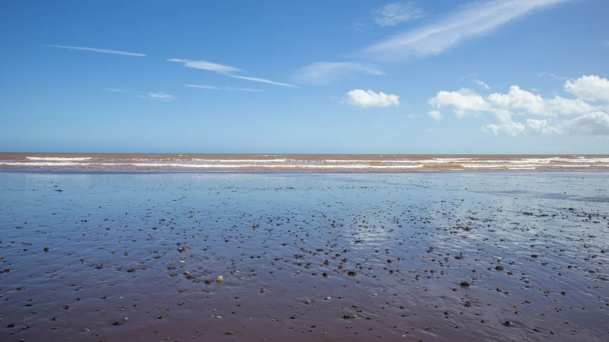 Időutazót véltek látni a tengerparti fotón