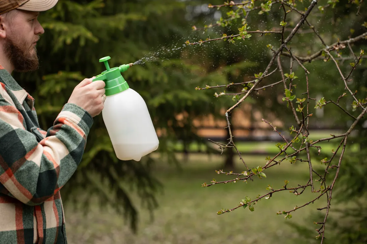Tavaszi permetezés a gyümölcsösben