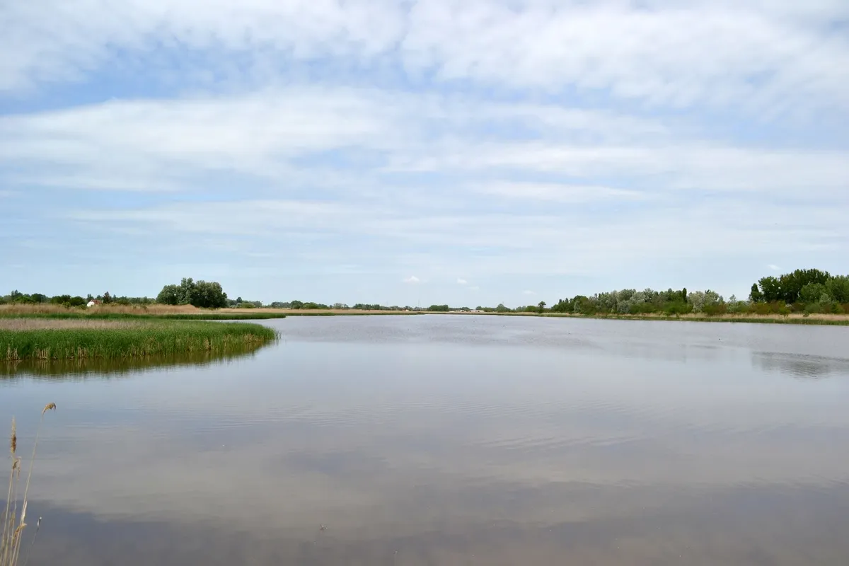 A Madarász-tó Mórahalomnál.