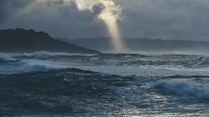 Itt a világvége? Baljós halakat sodort partra a víz