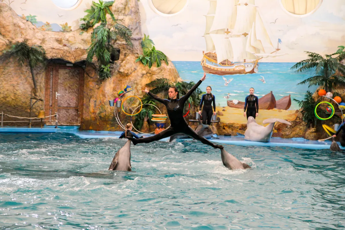 Delfin show egy ukrán delfináriumban