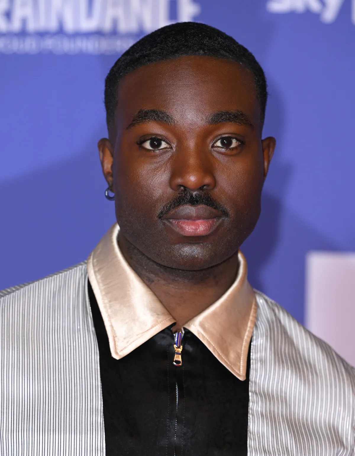 A Harry Potter sorozat új Piton professzora, Paapa Essiedu.