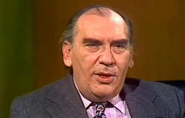 Romhányi József a Mézga családról készült retró kvízben.