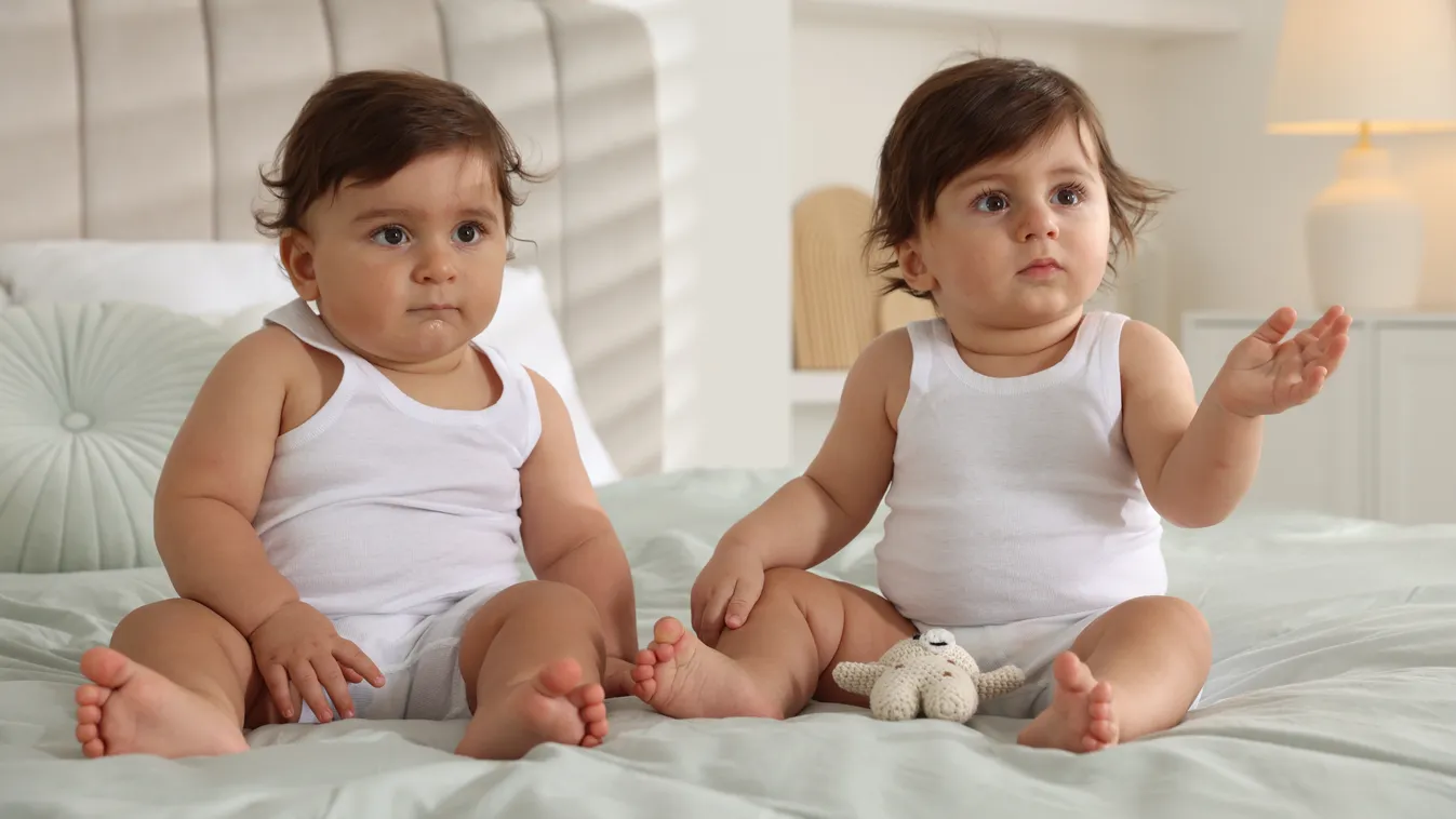 Öröm és gond a négyzeten? – Ikrek nevelése