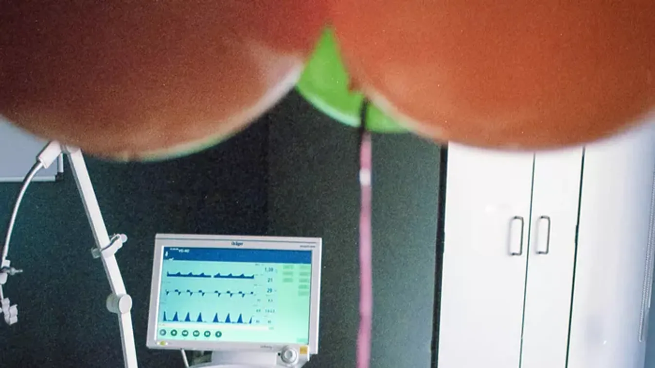 „A kis teste hatalmas csapást szenvedett" – agyhártyagyulladás keseríti meg a kislány életét