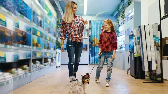 Kutyával vásárolni? Így maradj felelős gazdi az üzletekben