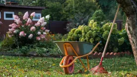 Nálad még a fű se nő? Ezeket a talajtakarókat ültesd helyette