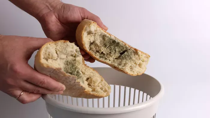 Milyen penészes ételek fogyaszthatók és melyek nem?