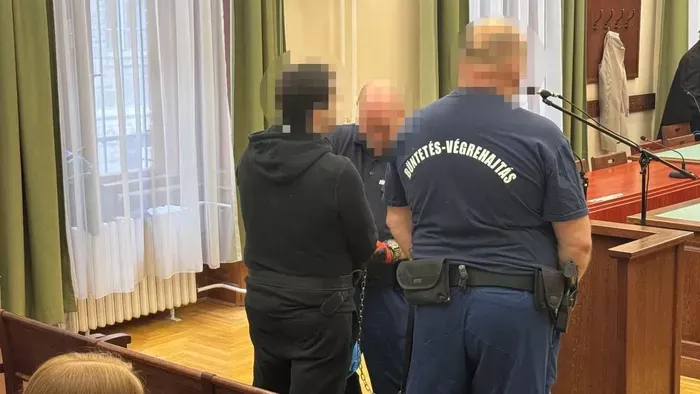 Ezért nem kapta meg a gyógyszereit a mátyásföldi anyagyilkos