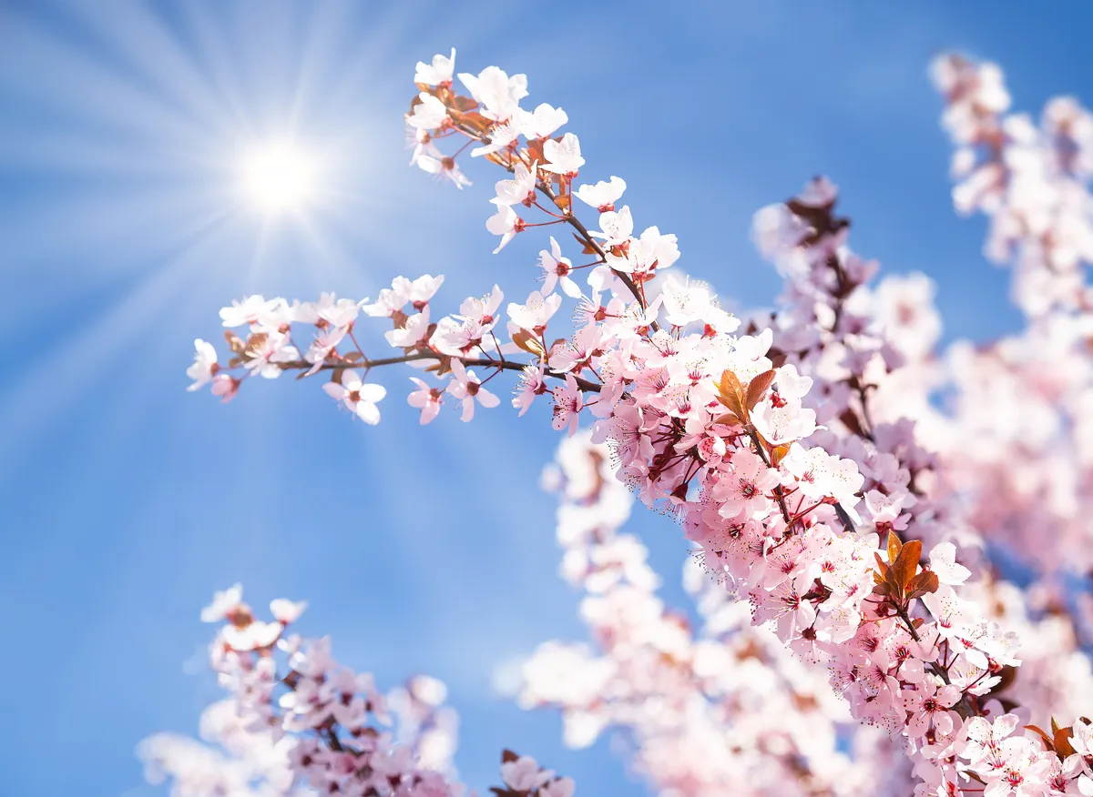 20 fok fölé emelkedett a hőmérséklet szerdán