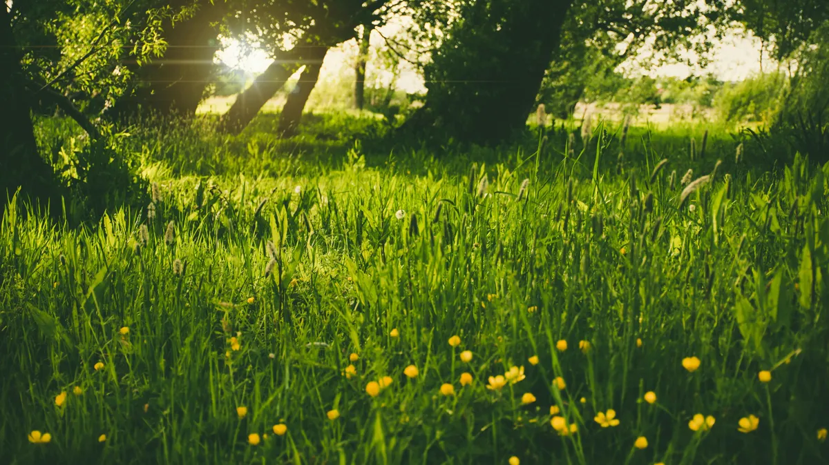 Tavaszi időjárással ajándékoz meg minket a hétvége