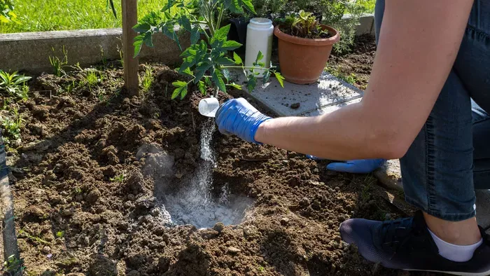 Tökéletes konyhakertre vágysz? Ezeket vesd el márciusban