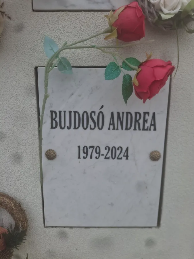 Mindössze két éve halt meg az édesanya leukémiában