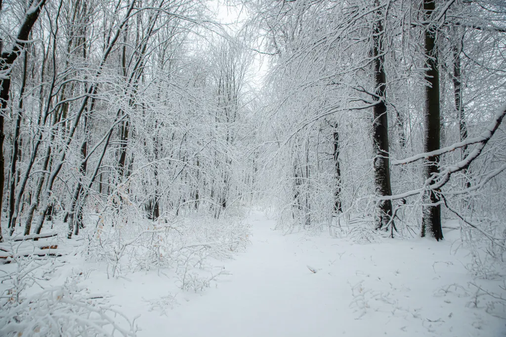 ILLUSZTRÁCIÓNAK NE HASZNÁLD!