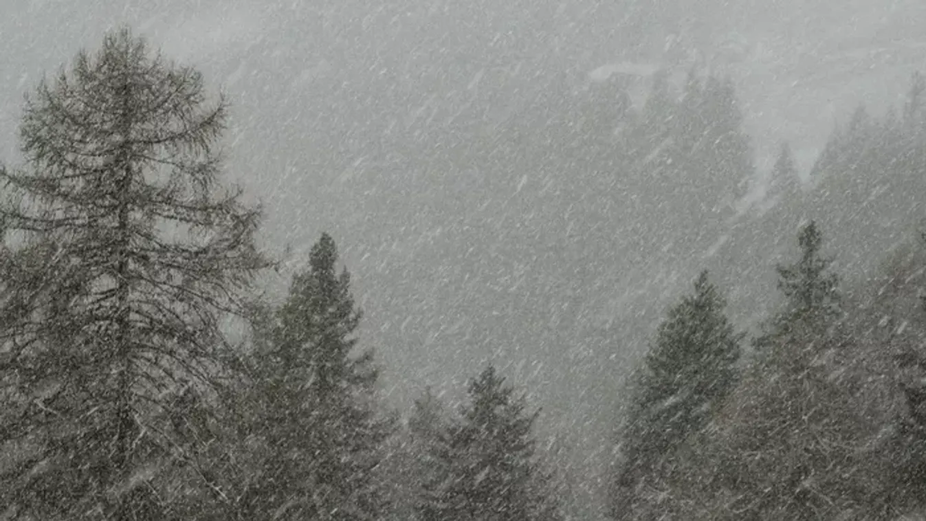 „Soha nem hallasz ilyen esetekről” – Mezítláb indult el a hóviharba, majd egy fagyasztó mögül került elő 10 év után a férfi