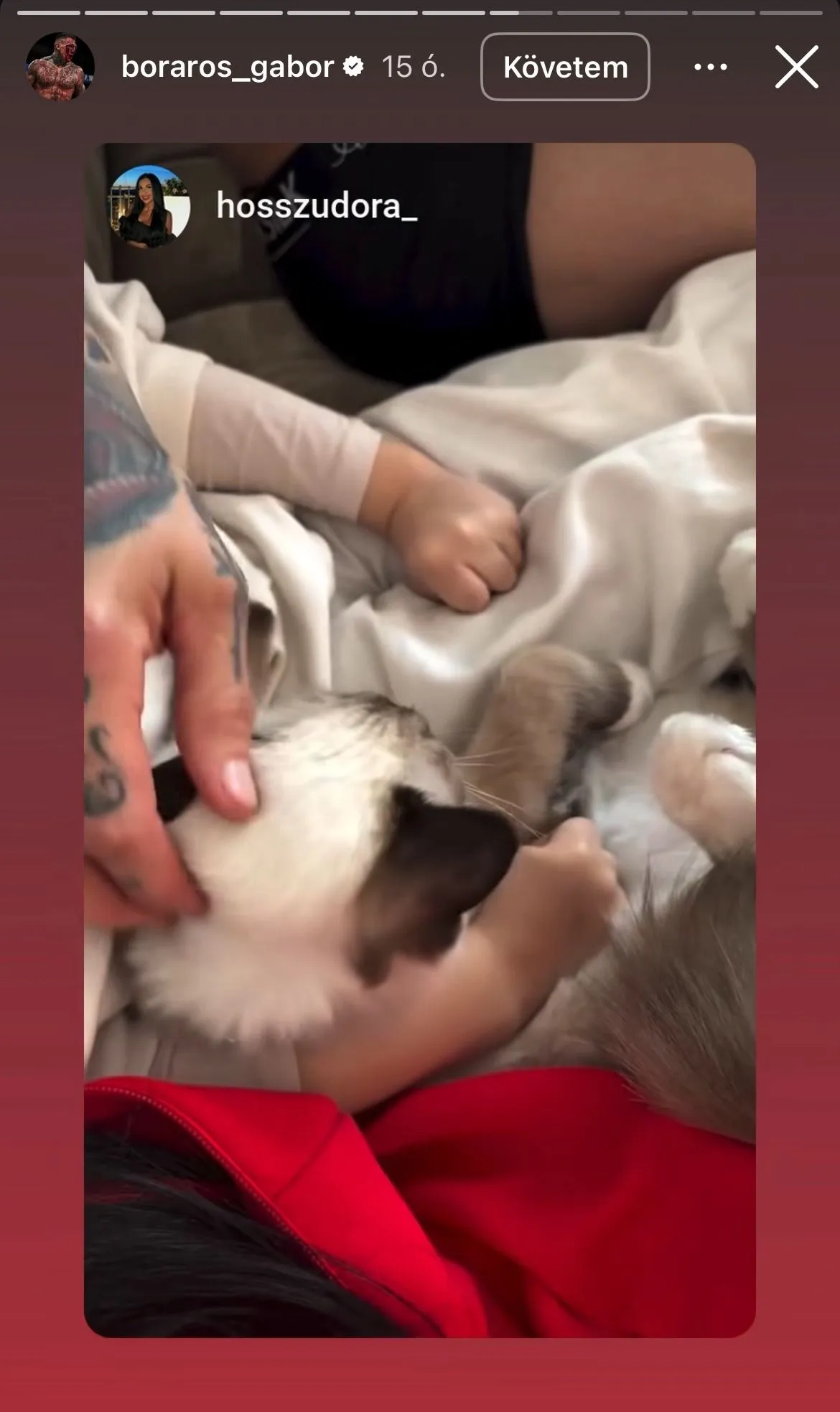 Boráros Gábor a lehető legjobbat tette, hogy egy kiscicát ajándékozott a lányának a tragédia után