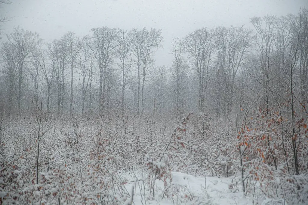ILLUSZTRÁCIÓNAK NE HASZNÁLD!